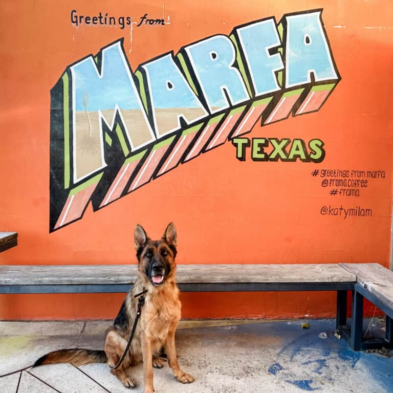 11 Fun and Best Things to Do in Marfa TX